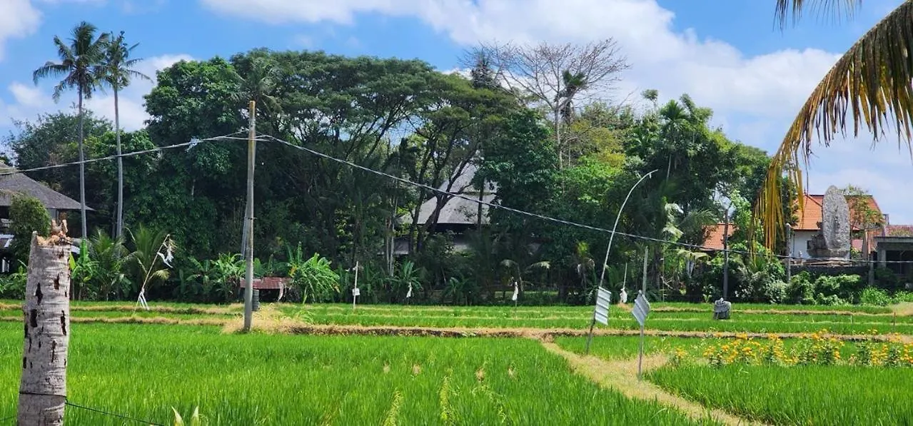 Bed & Breakfast Kayun House Ubud Indonesia